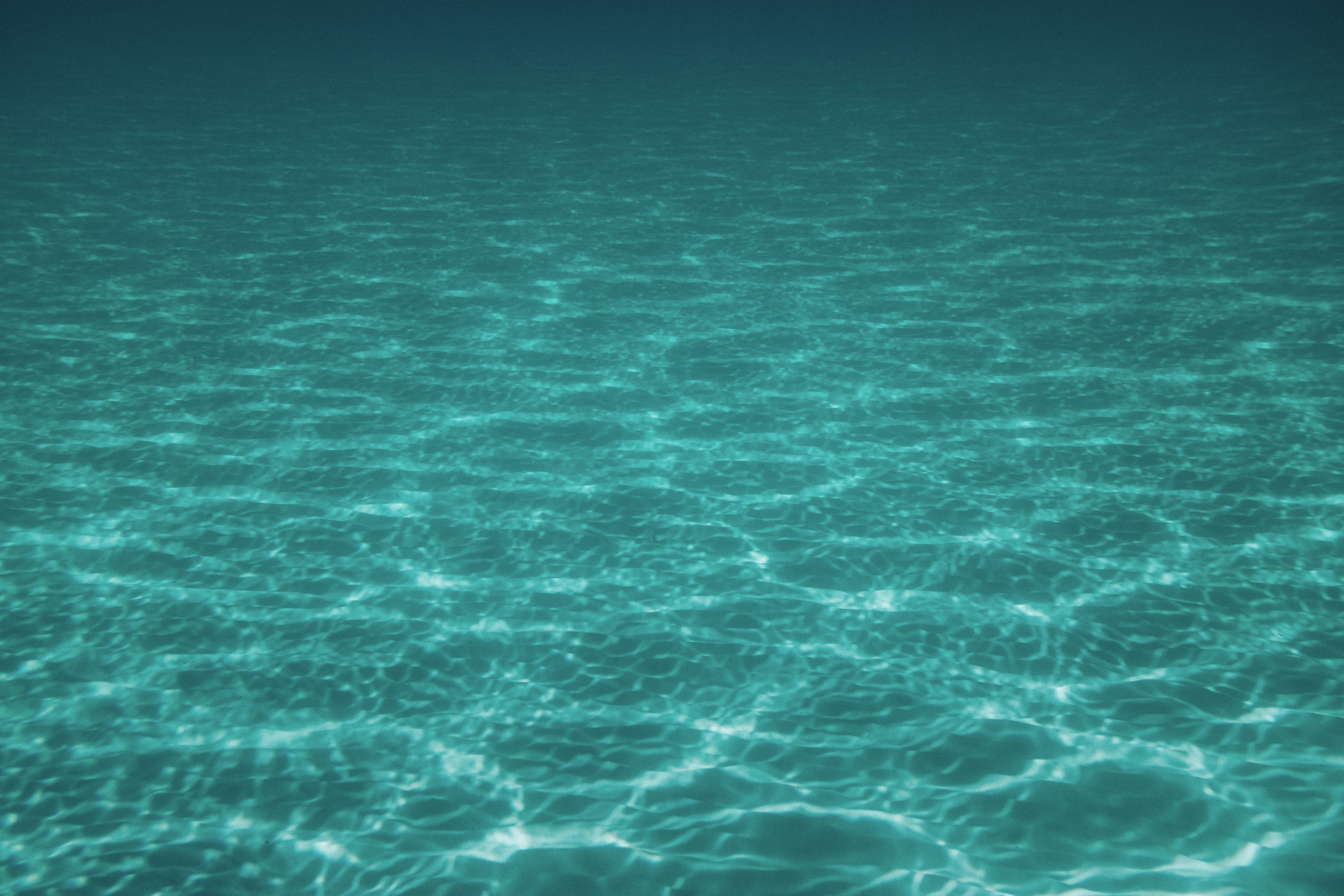 photo-1484129022799-0975bb66a675?ixlib=rb-1.2.1&ixid=eyJhcHBfaWQiOjEyMDd9&auto=format&fit=crop&w=1500&q=80