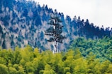 A pine tree-shaped cell tower rises amidst a dense forest of varying shades of green. The tower blends into the natural surroundings, with the forest stretching into a mountain range covered in thick trees, creating a harmonious integration of technology and nature.