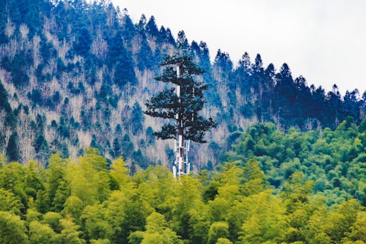 A pine tree-shaped cell tower rises amidst a dense forest of varying shades of green. The tower blends into the natural surroundings, with the forest stretching into a mountain range covered in thick trees, creating a harmonious integration of technology and nature.