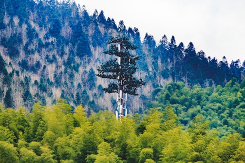 A pine tree-shaped cell tower rises amidst a dense forest of varying shades of green. The tower blends into the natural surroundings, with the forest stretching into a mountain range covered in thick trees, creating a harmonious integration of technology and nature.