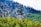 A pine tree-shaped cell tower rises amidst a dense forest of varying shades of green. The tower blends into the natural surroundings, with the forest stretching into a mountain range covered in thick trees, creating a harmonious integration of technology and nature.