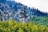 A pine tree-shaped cell tower rises amidst a dense forest of varying shades of green. The tower blends into the natural surroundings, with the forest stretching into a mountain range covered in thick trees, creating a harmonious integration of technology and nature.