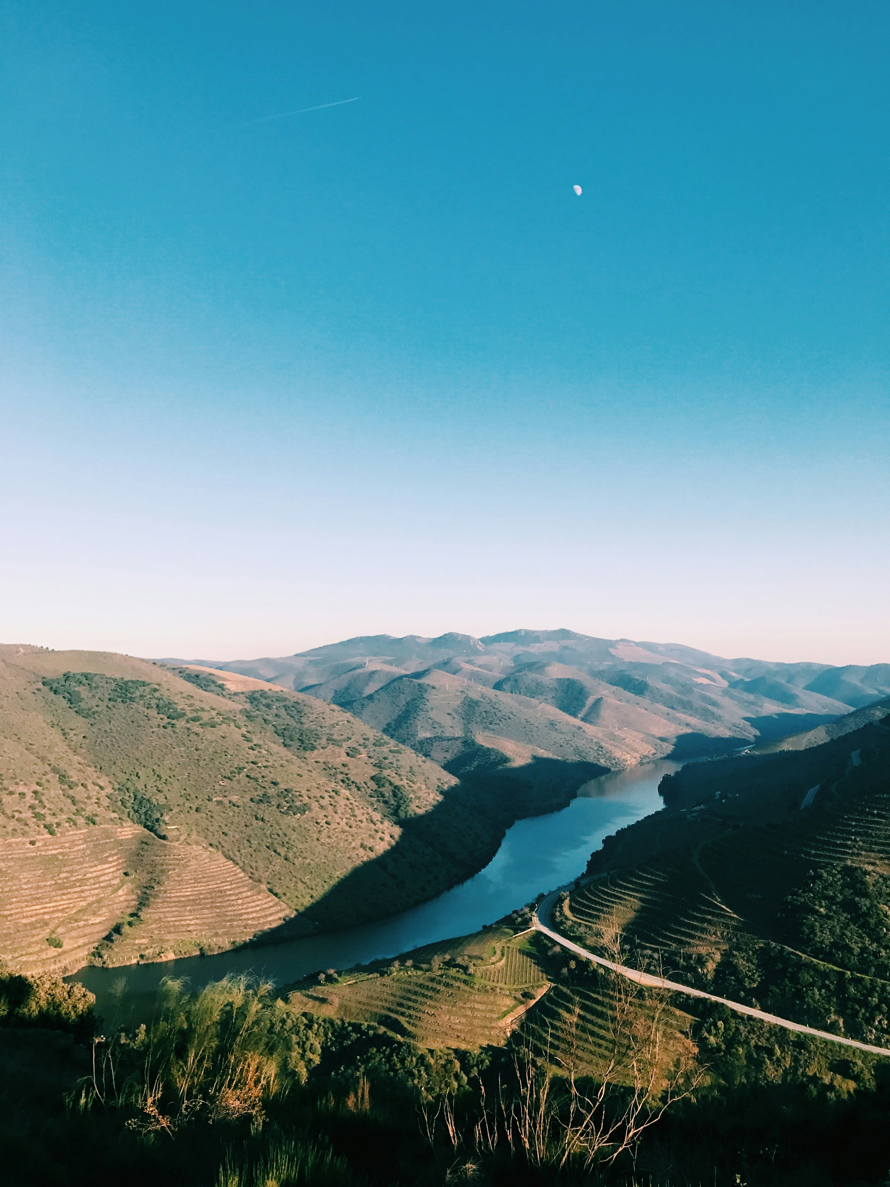 Free Unsplash photo from Luis Vaz