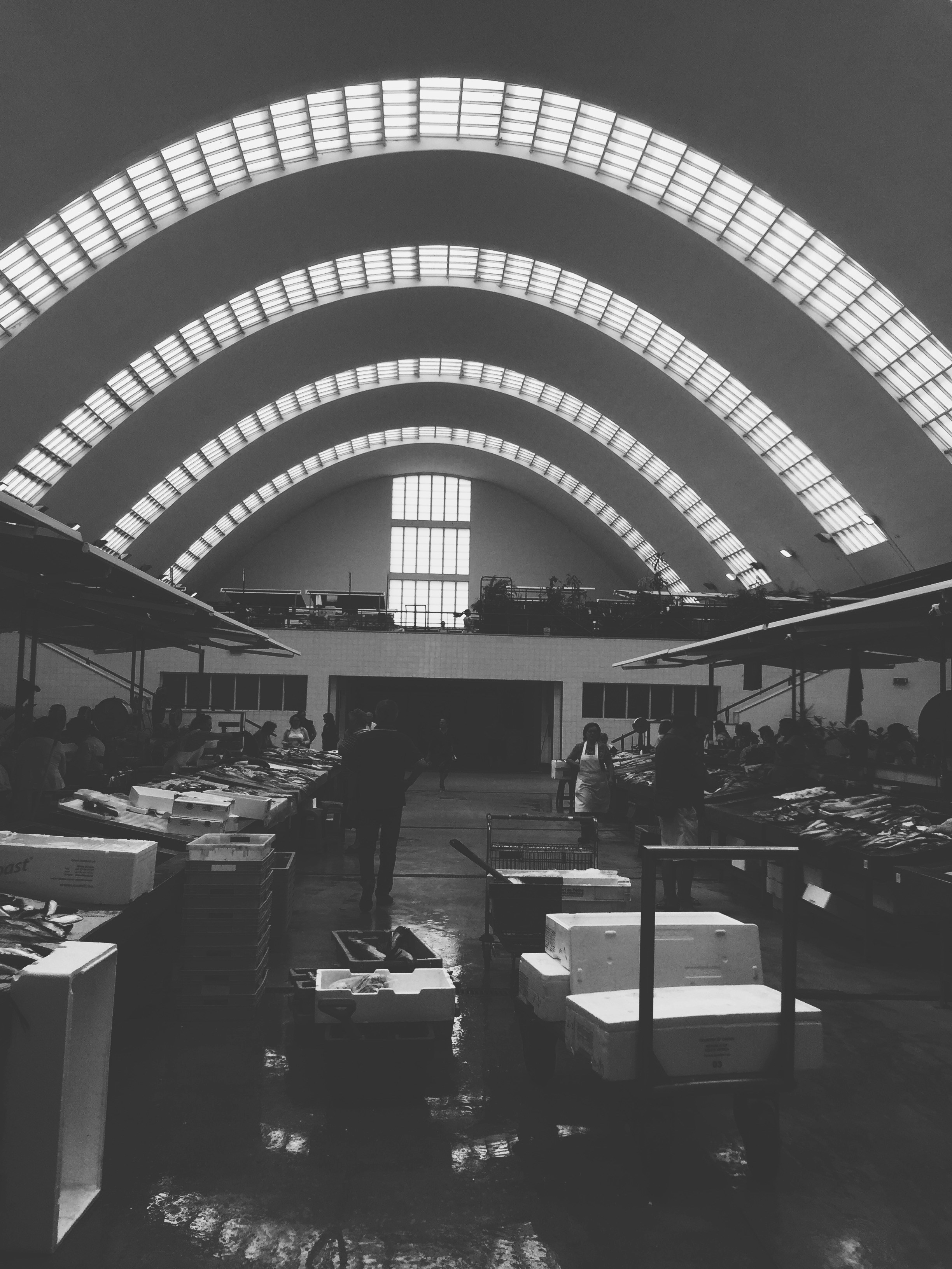 Free Unsplash photo from Luis Vaz