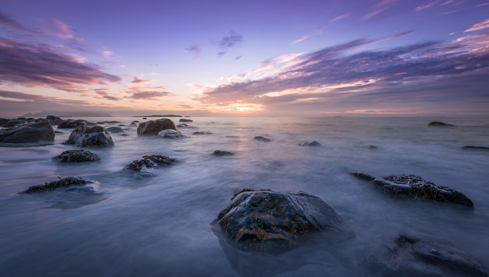 brown rocks soak in body of water at daytime