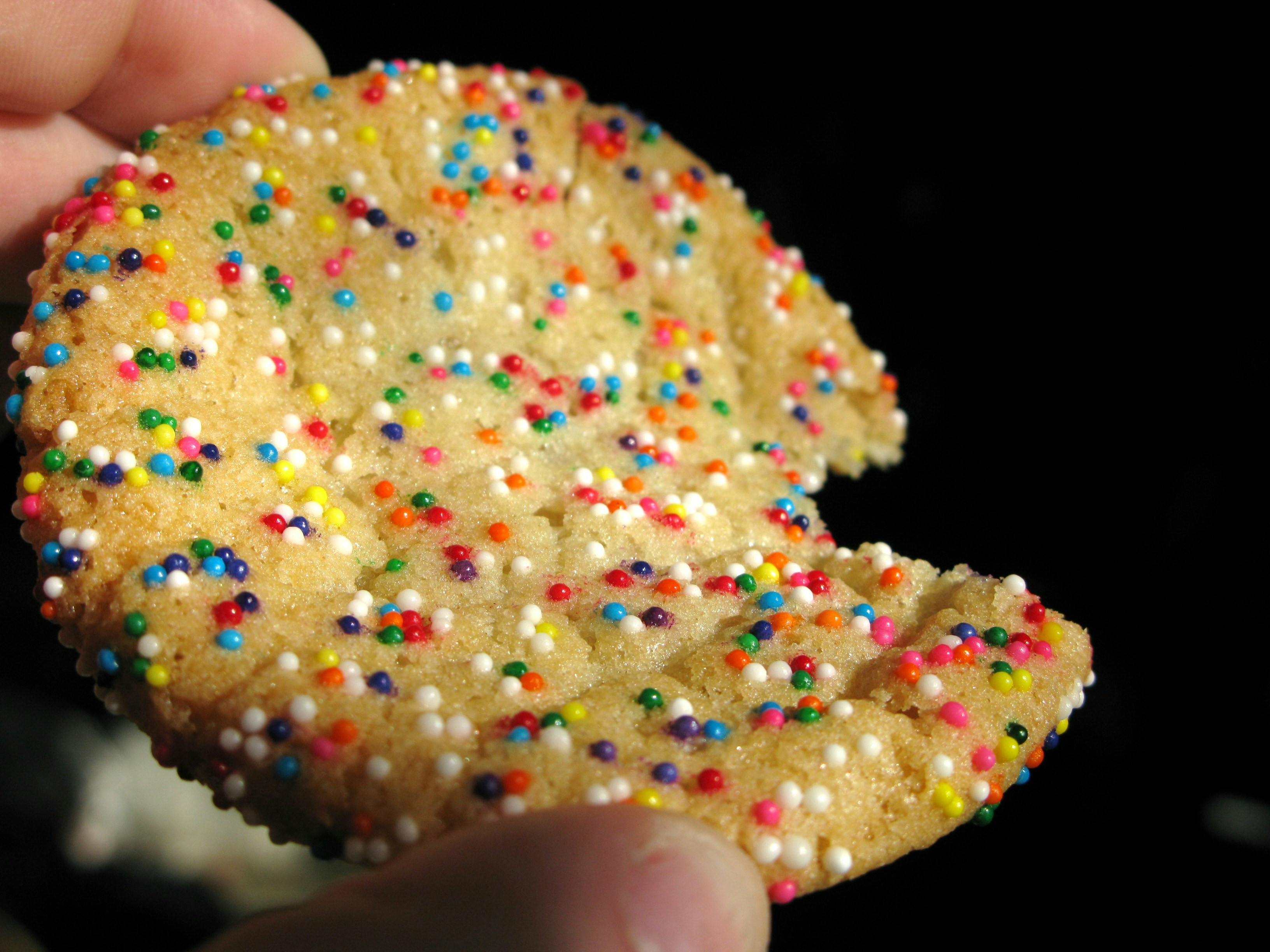 Free Unsplash photo from Linley Beckbridge