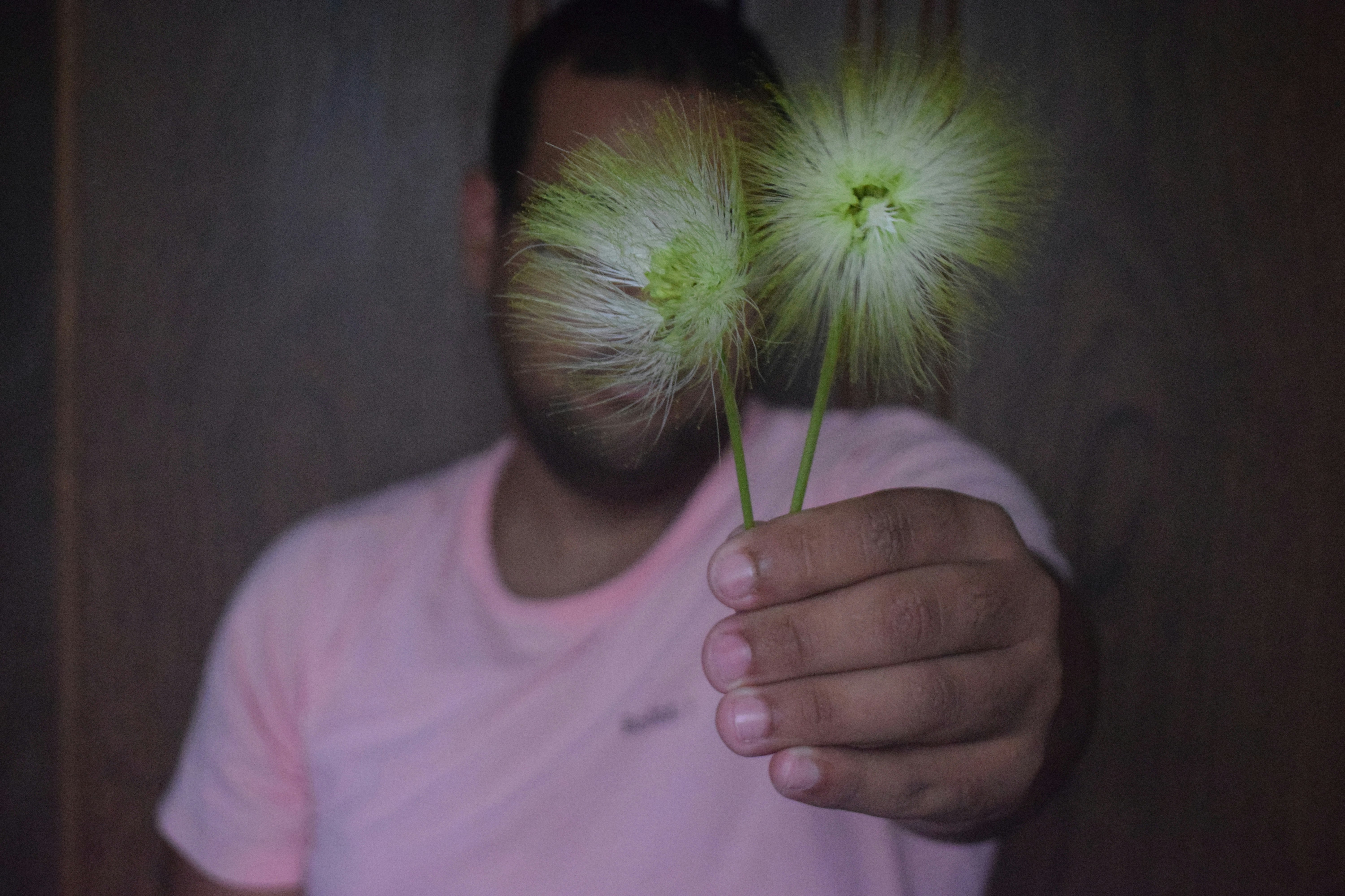 Free Unsplash photo from Marcos Amaral