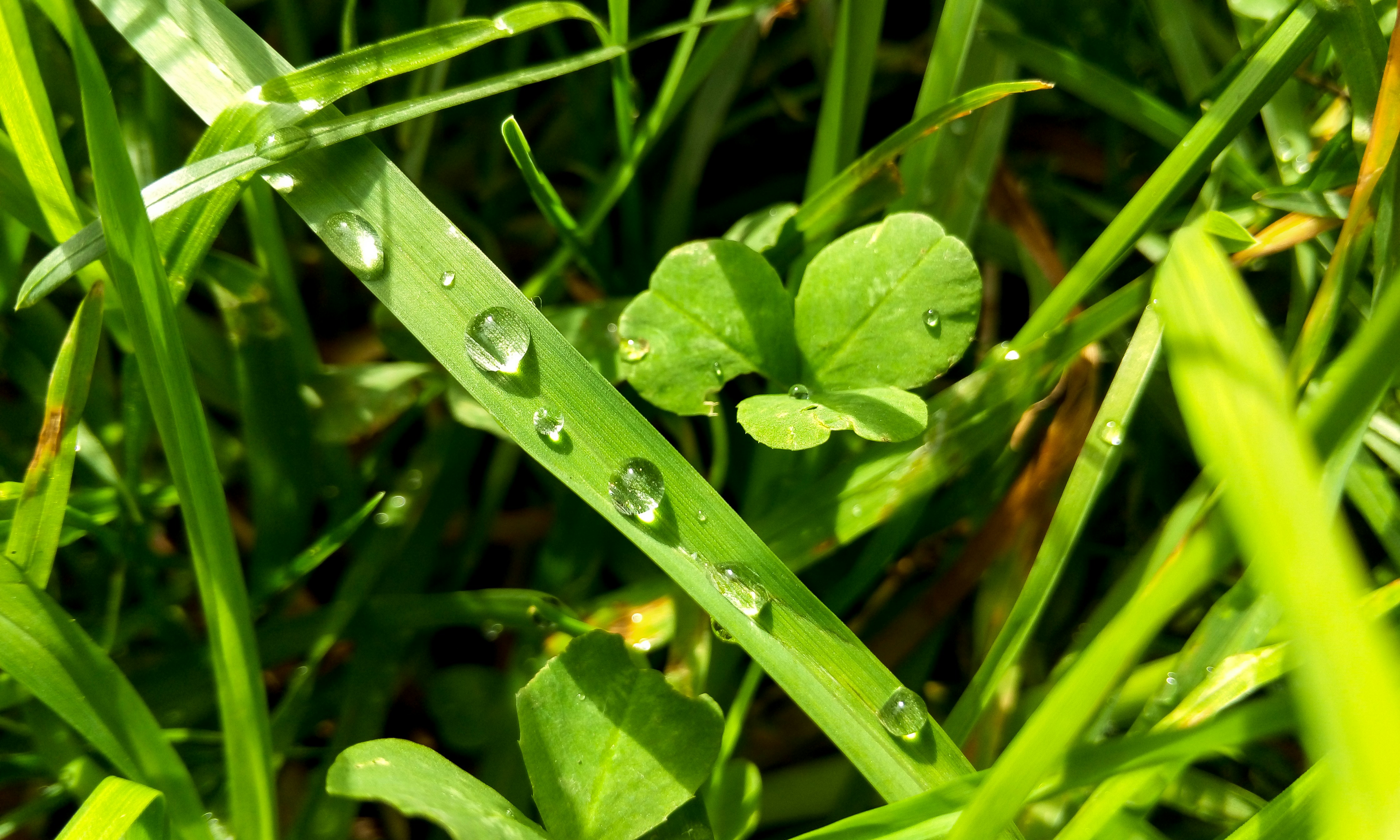 Free Unsplash photo from Vadim Rusnak