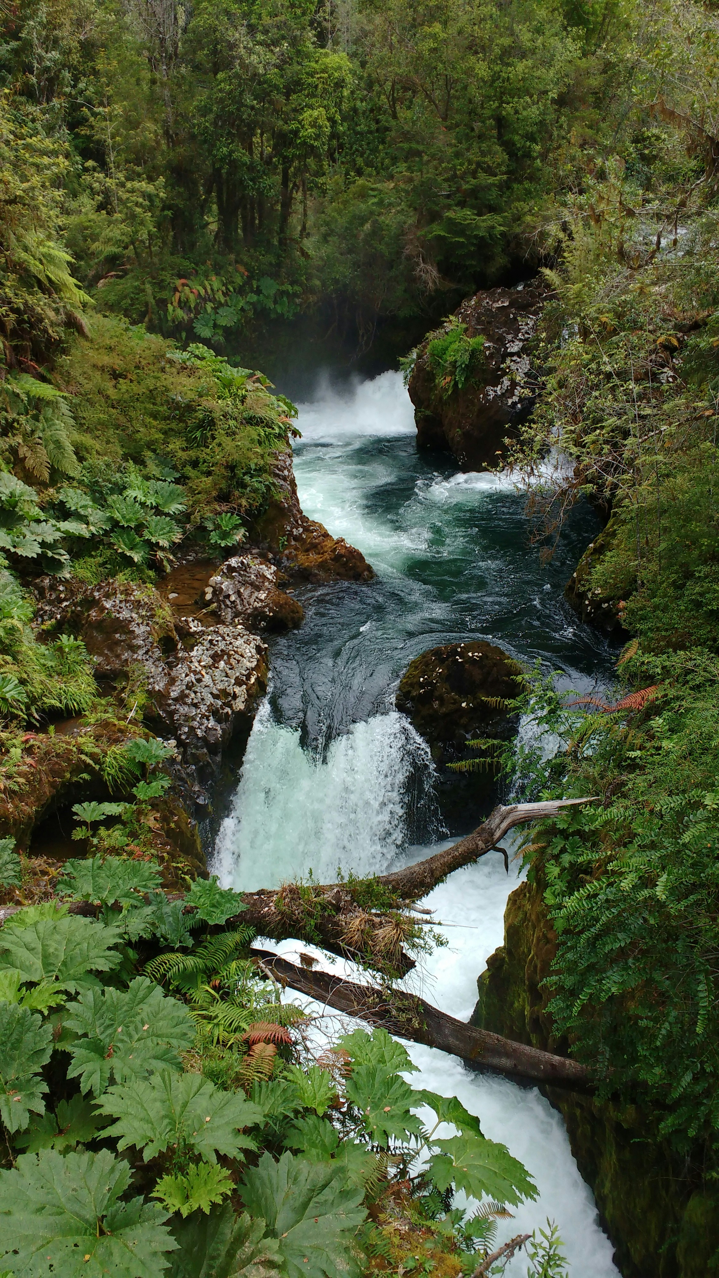 Free Unsplash photo from Javier Aranda