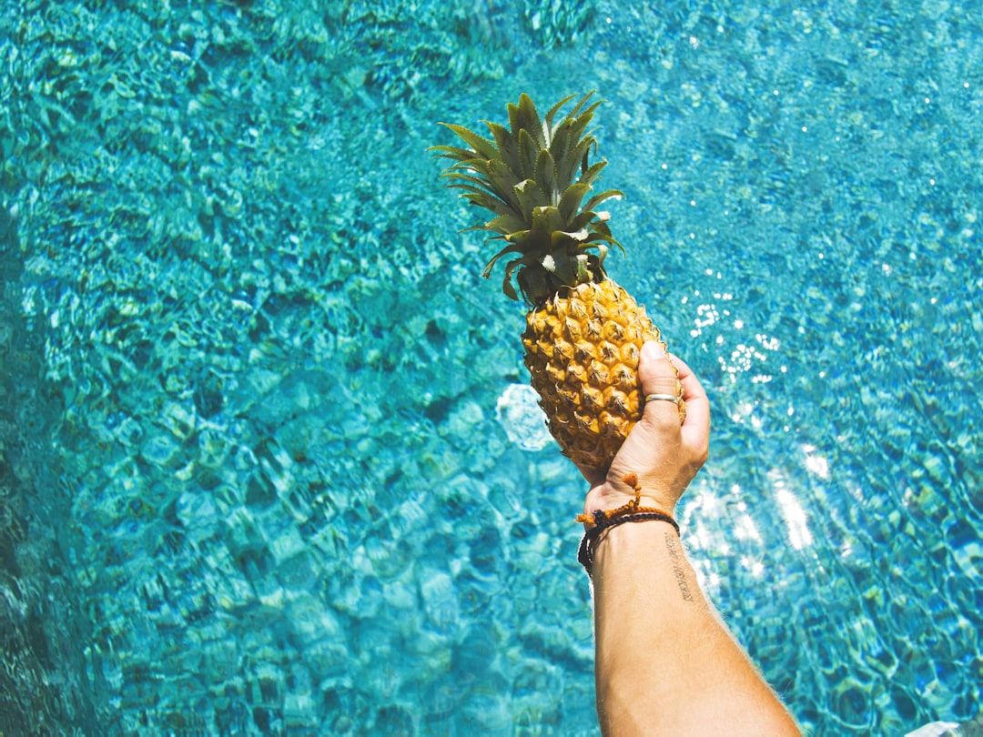 person holding yellow pineapple,