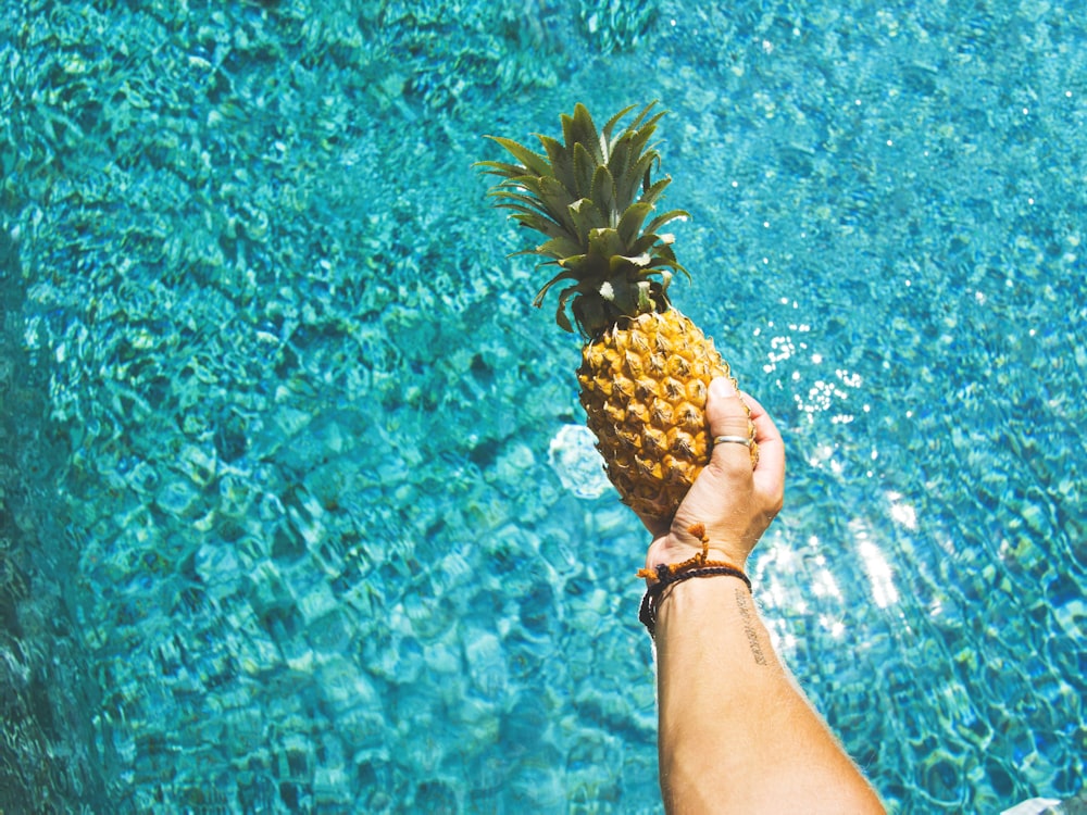 person holding yellow pineapple