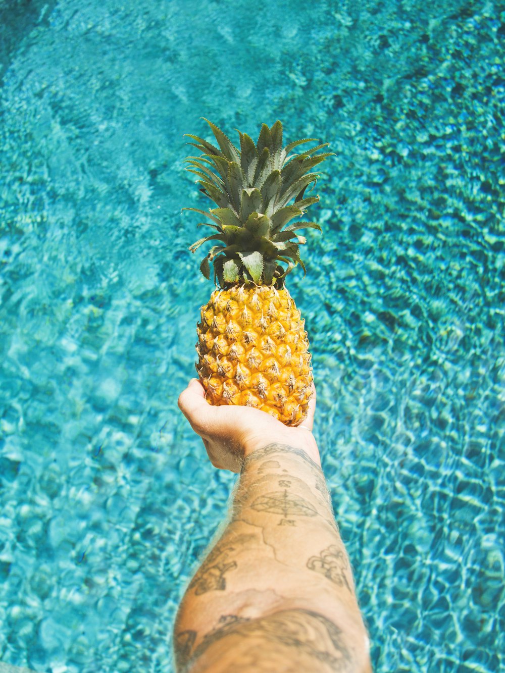 person holding pineapple fruit