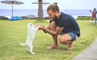 man squatting holding two foot of a white puppy on green sod at daytime