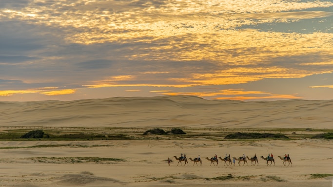 A group of people ride camels across a vast, sandy desert landscape under a sky painted with the warm hues of a setting sun. The horizon is lined with rolling dunes, and the open sky above is streaked with clouds reflecting the soft colors of sunset.