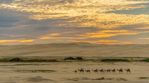 A group of people ride camels across a vast, sandy desert landscape under a sky painted with the warm hues of a setting sun. The horizon is lined with rolling dunes, and the open sky above is streaked with clouds reflecting the soft colors of sunset.