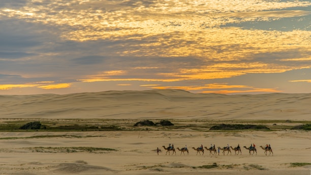 A group of happy tourists riding camels across the sandy landscape under a vibrant orange sky.