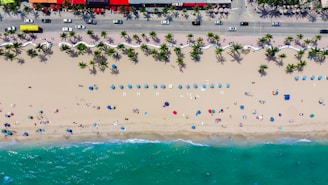 aerial photography of coastline with people