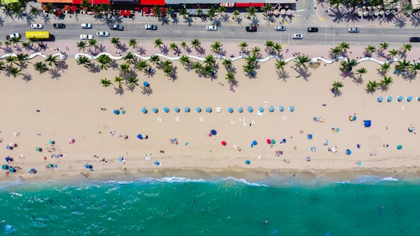 Aerial view of a sandy beach lined with rows of blue umbrellas and colorful beach towels. Palm trees are scattered along the promenade adjacent to a road with several vehicles. Bright red and yellow buildings are visible, alongside a turquoise ocean with swimmers in the water.
