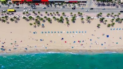 aerial photography of coastline with people florida zoom background