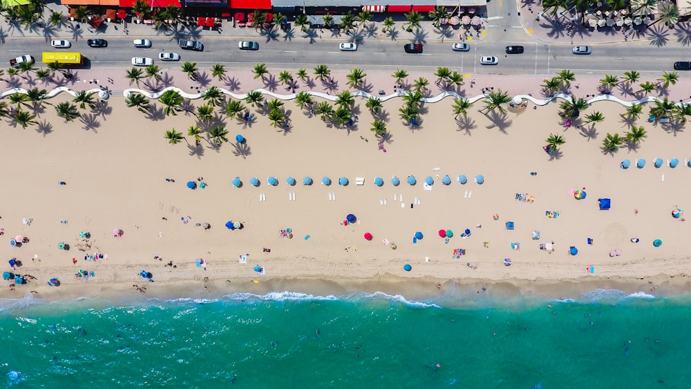 aerial photography of coastline with people