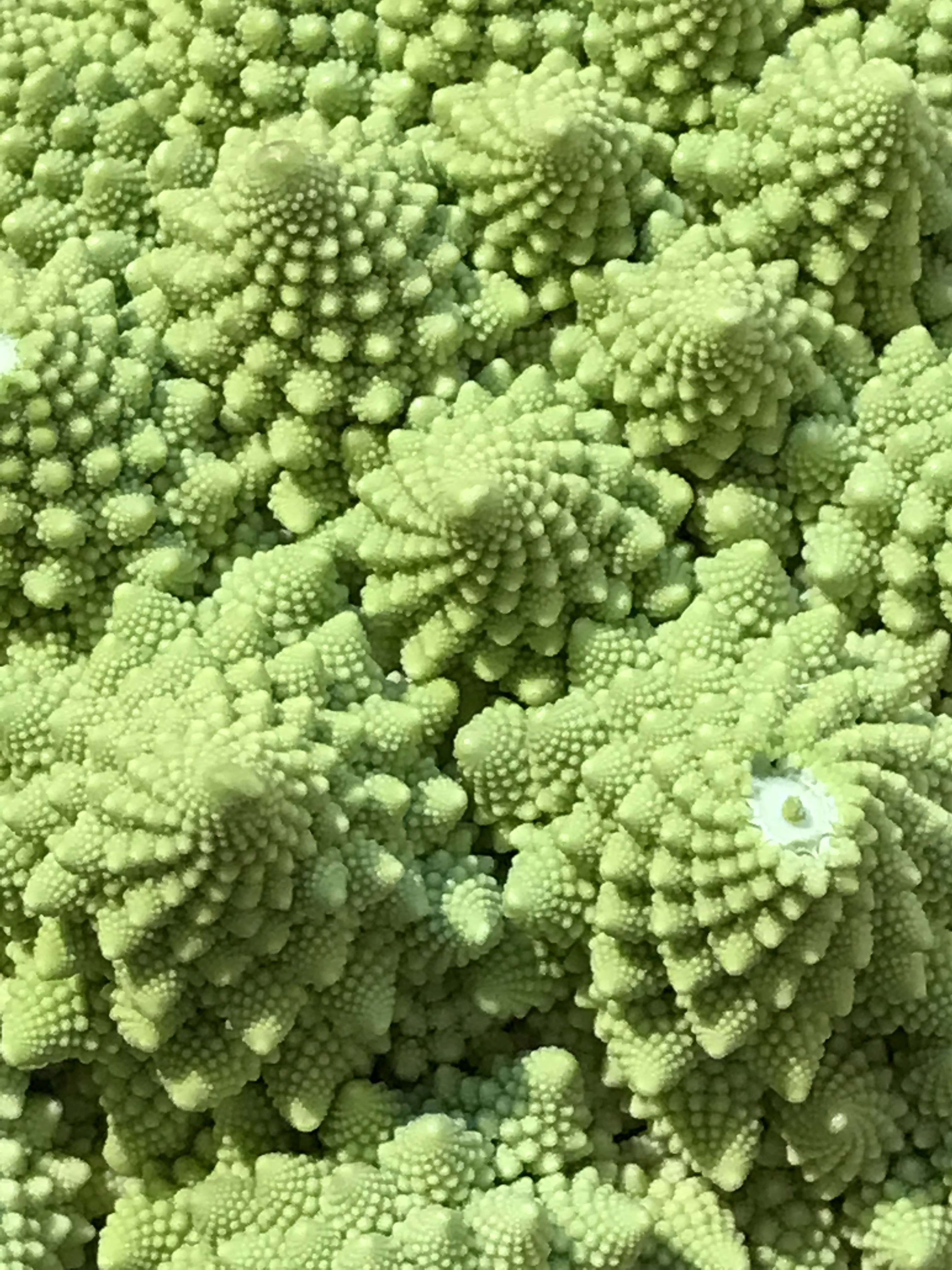 Free Unsplash photo from Frédéric Benqué