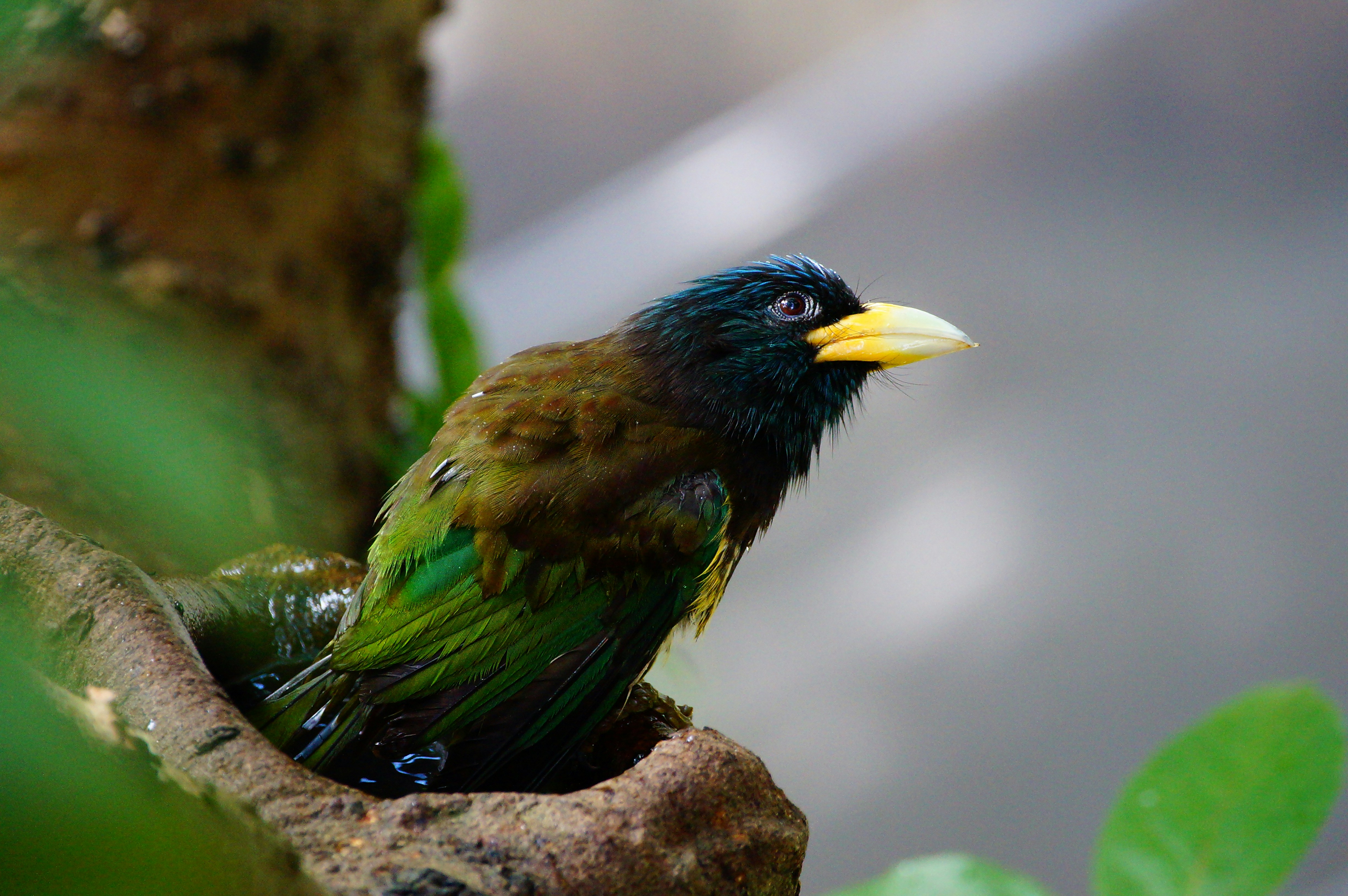 Free Unsplash photo from ken chan