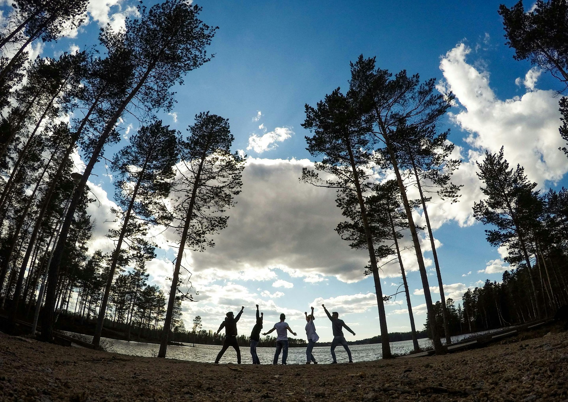 black and white bed linen