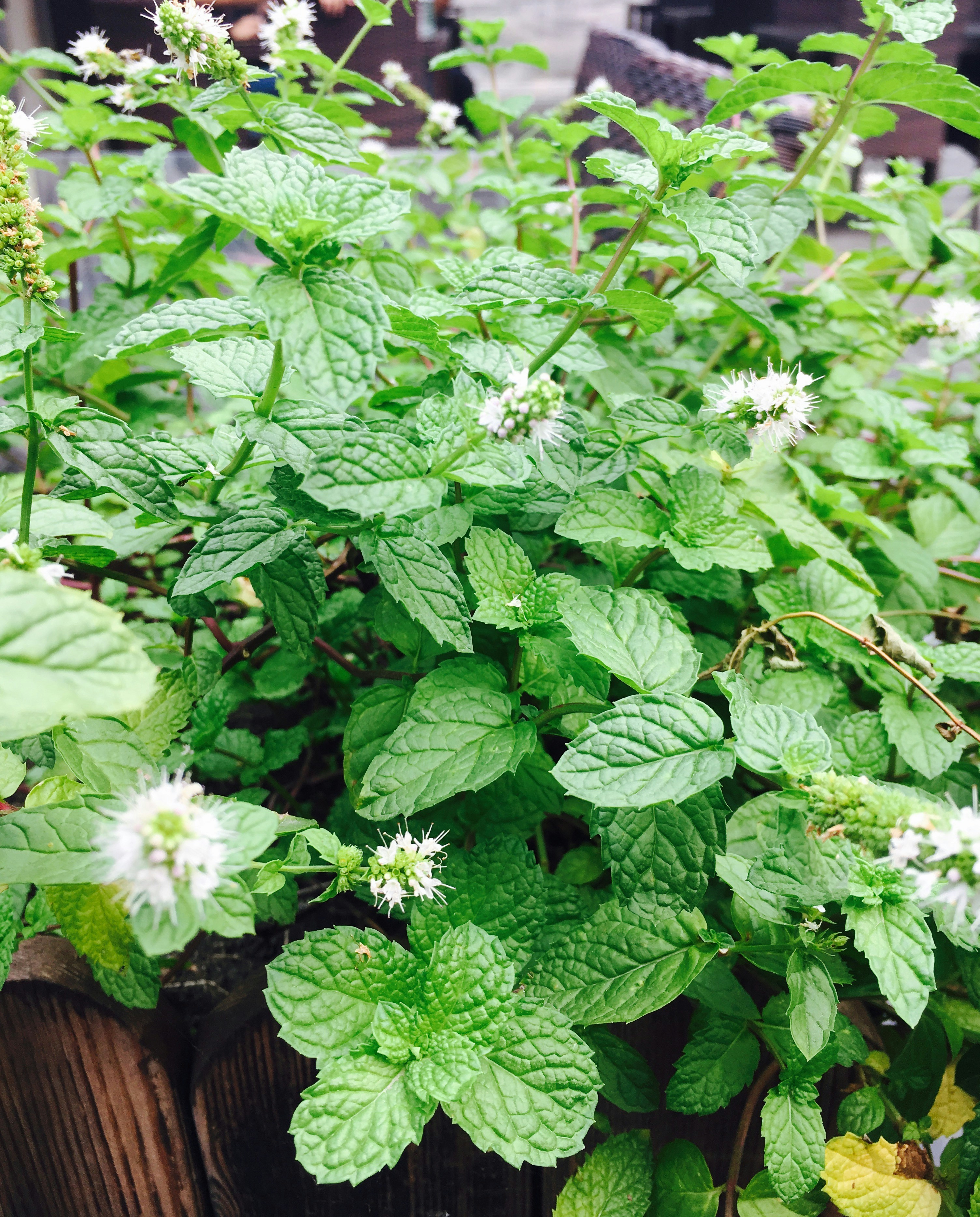 Free Unsplash photo from ada wang