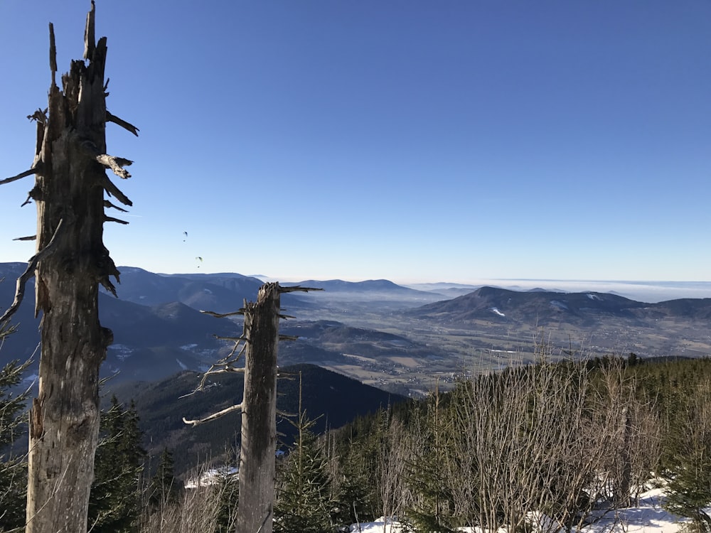 uma vista das montanhas de um ponto de vista alto