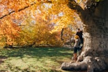 A candid shot of the couple laughing together in a sunlit forest with burnt orange leaves.