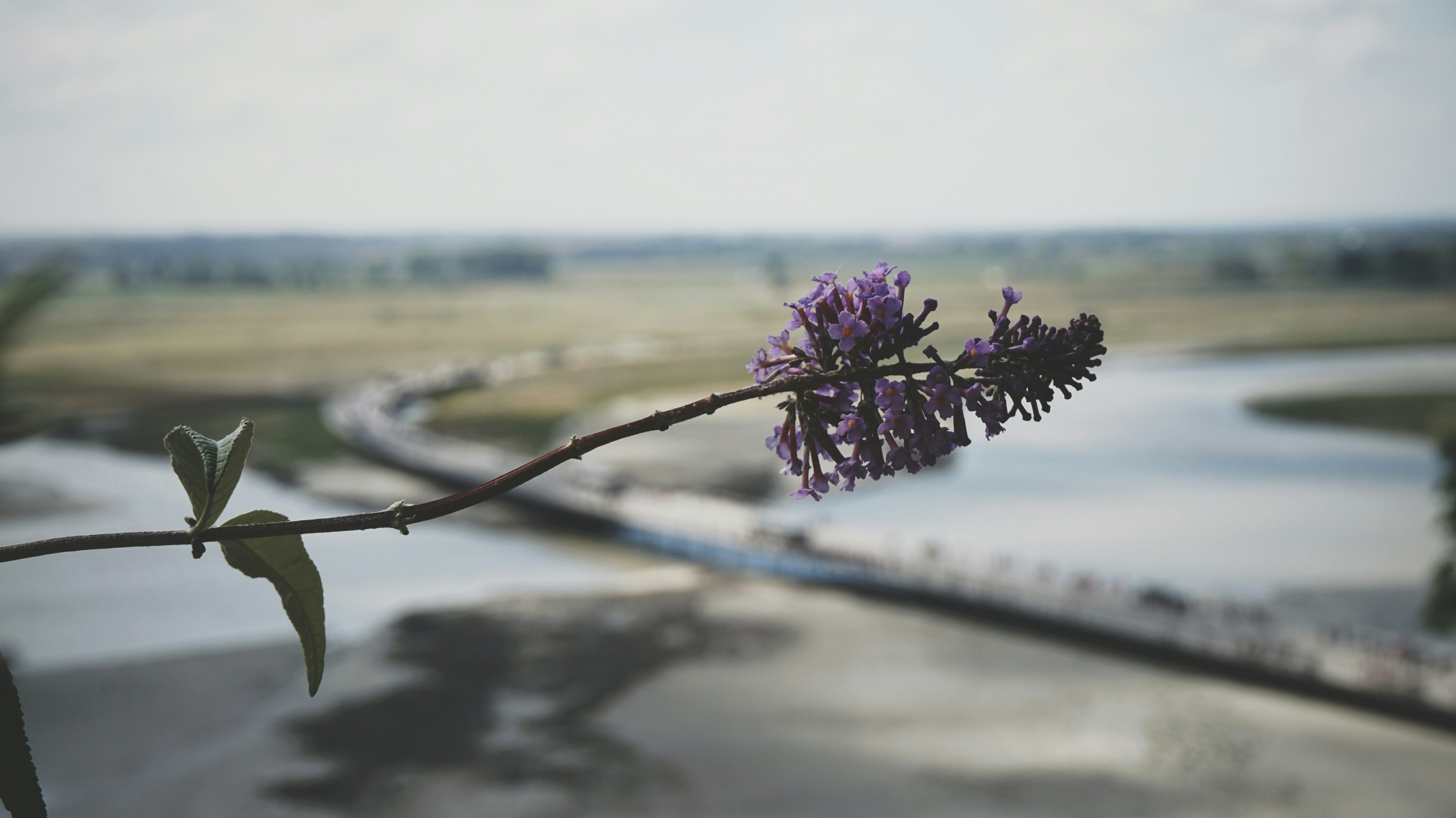 Free Unsplash photo from Eric Rösch