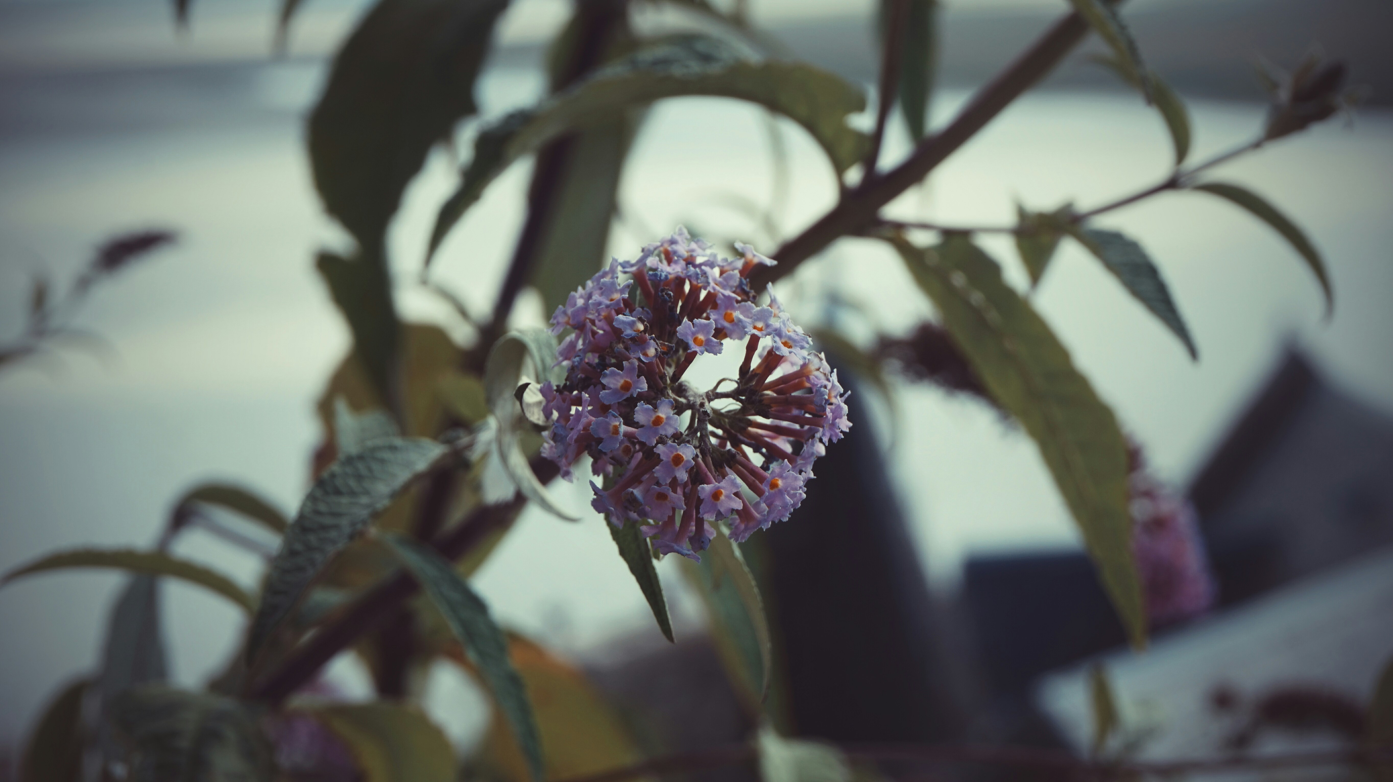 Free Unsplash photo from Eric Rösch