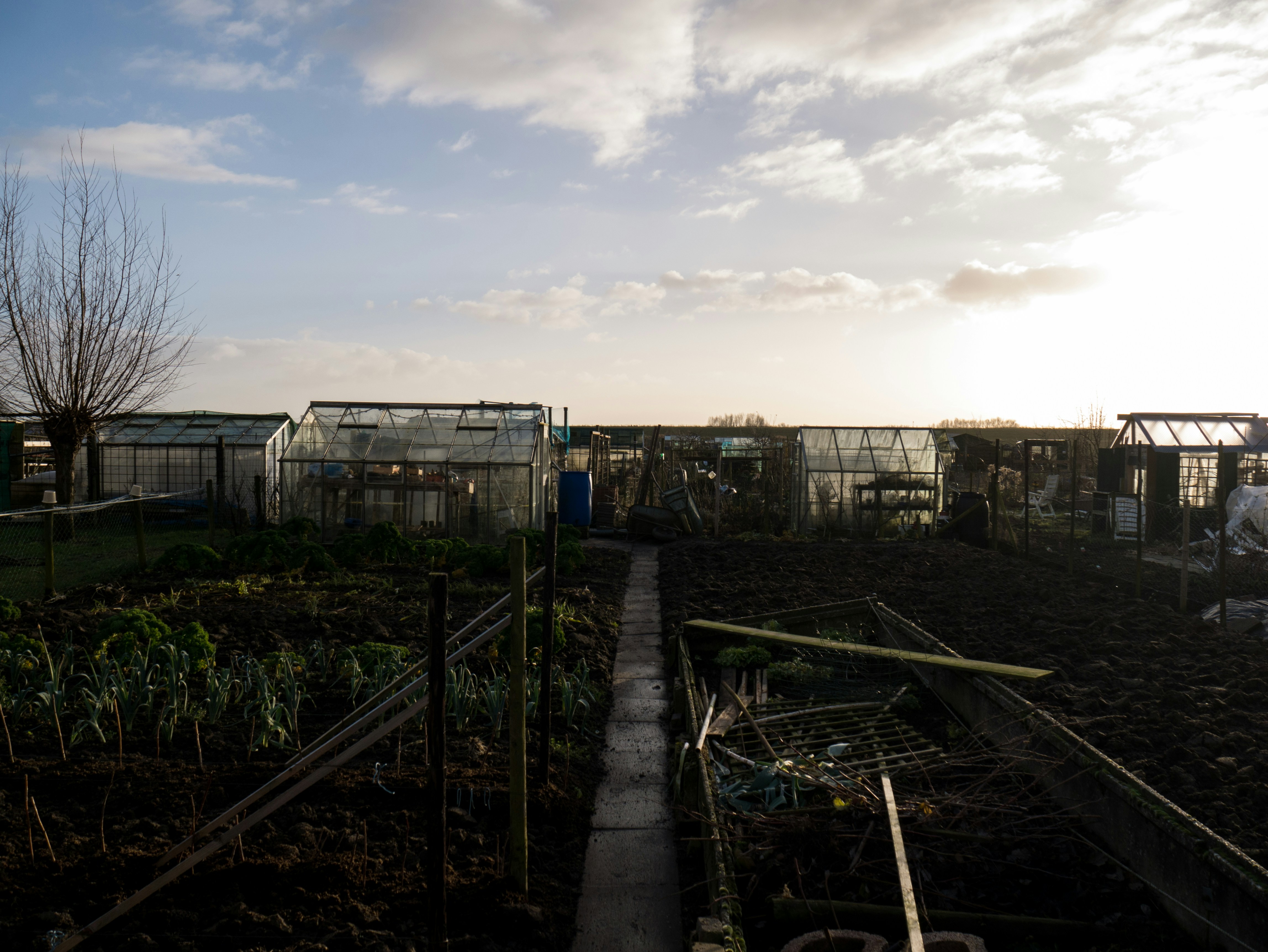 Free Unsplash photo from Maurice Smeets