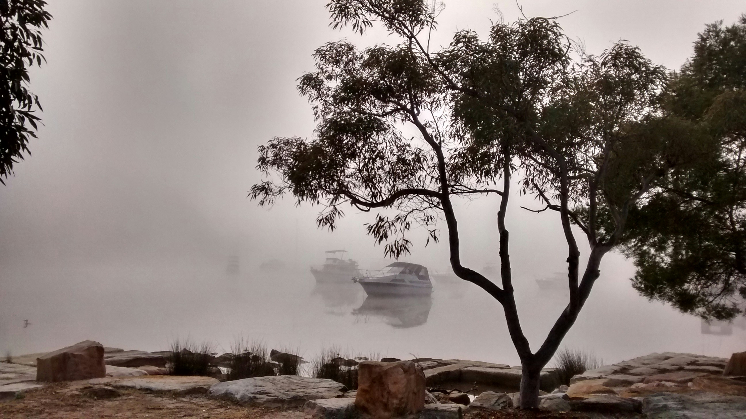 Free Unsplash photo from Peter Millard