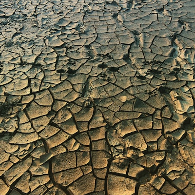 The surface appears parched and cracked, resembling a dried-up mudflat or desert terrain. The intricate patterns formed by the cracks give a glimpse of the natural process of desiccation. The varying shades of brown and hints of green add a visual depth to the textured landscape.