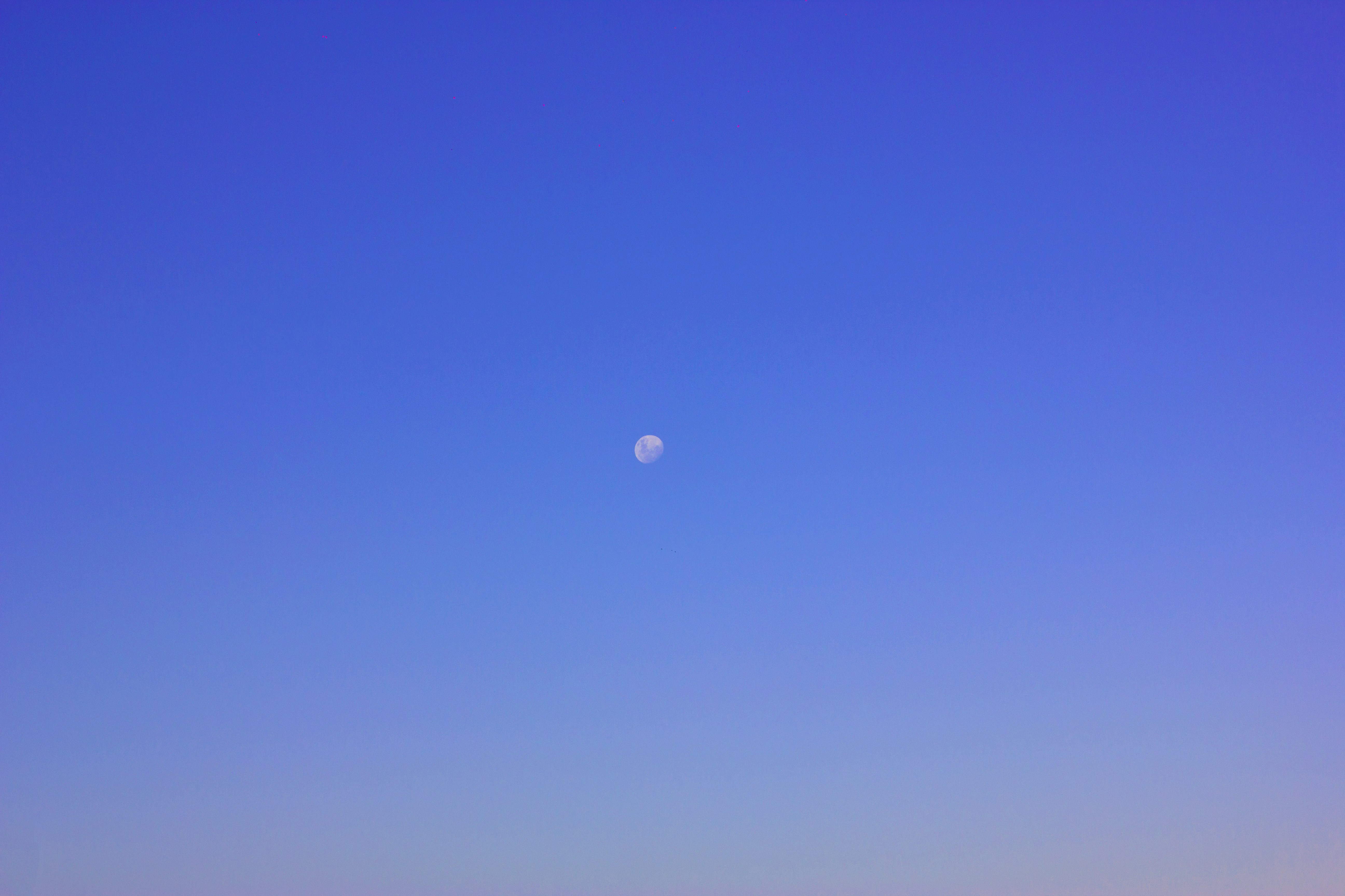 Free Unsplash photo from Rushi Mahant