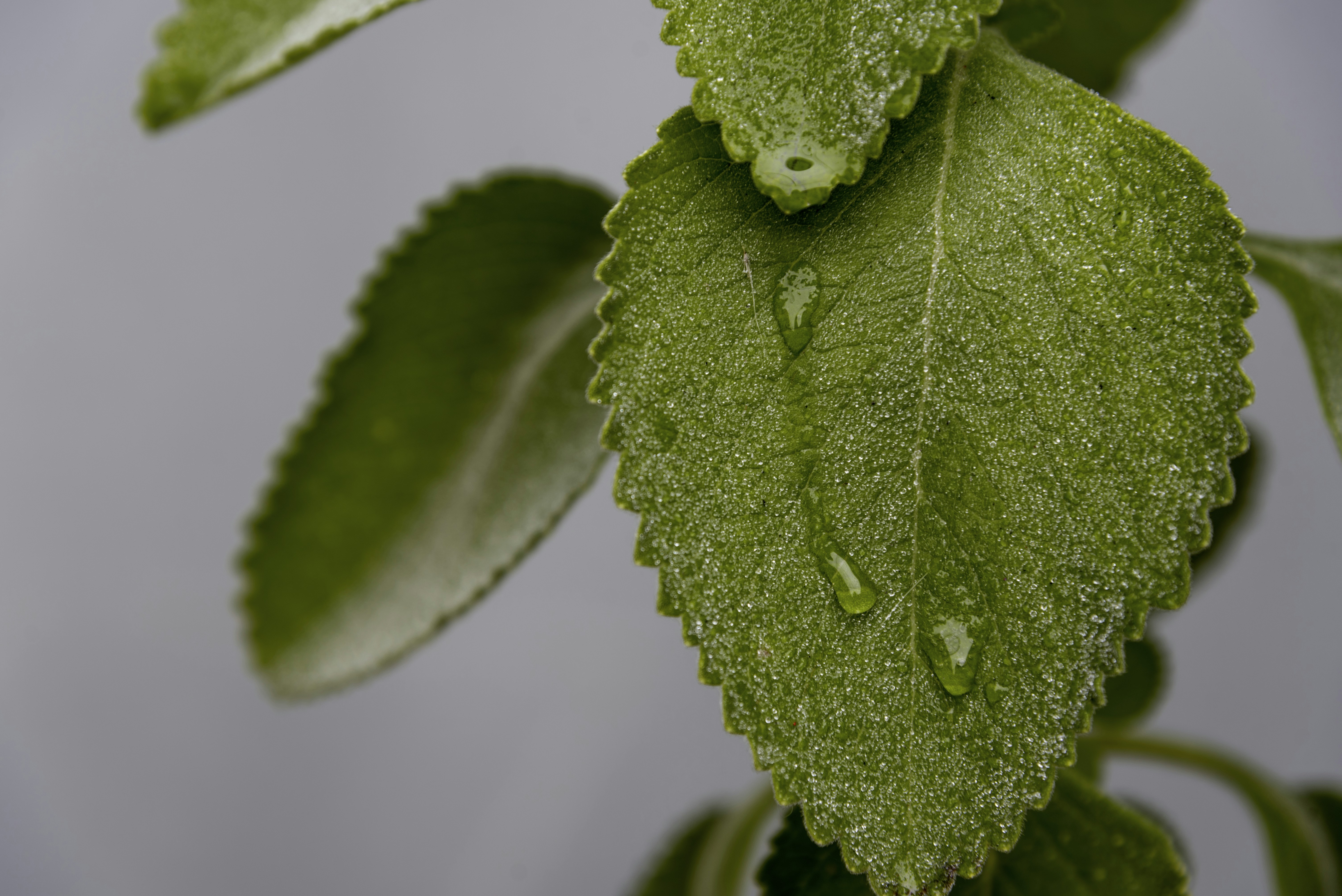 Free Unsplash photo from Dida  Cunha