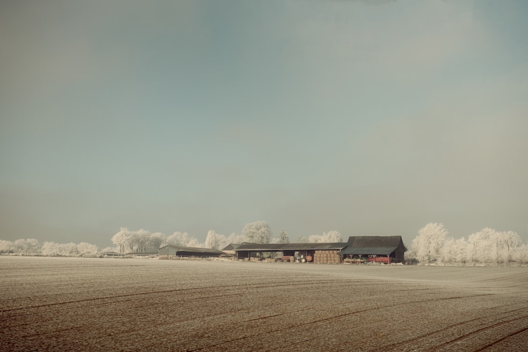 black and brown house at the desert, Winter is here