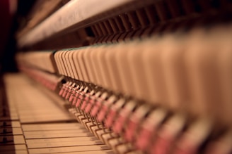 Close-up view of the internal mechanisms of a piano. The image captures the hammers, felt parts, and wooden structures in a detailed perspective. The focus highlights the intricacies and craftsmanship involved in the piano's construction, with blurred background elements creating a sense of depth.