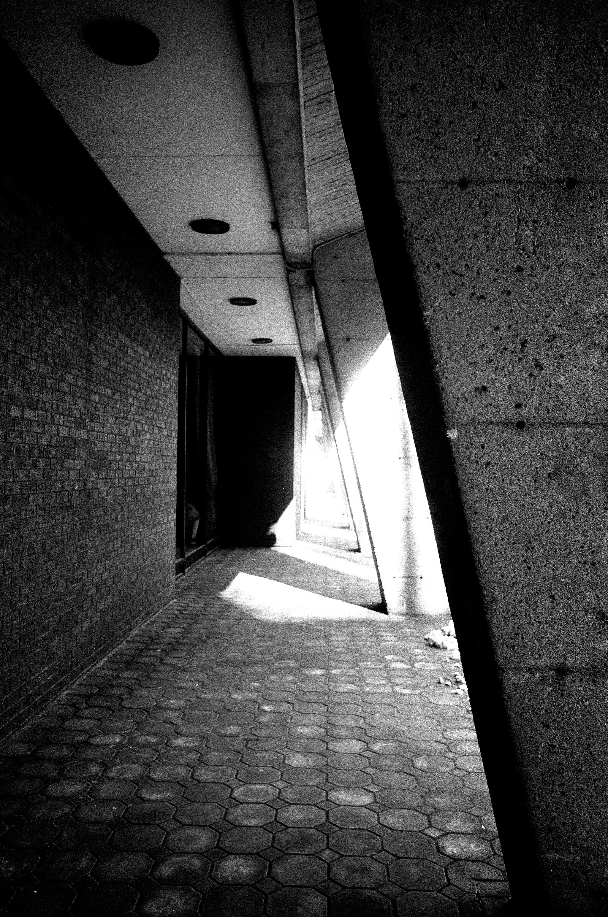 Free Unsplash photo from william fleury