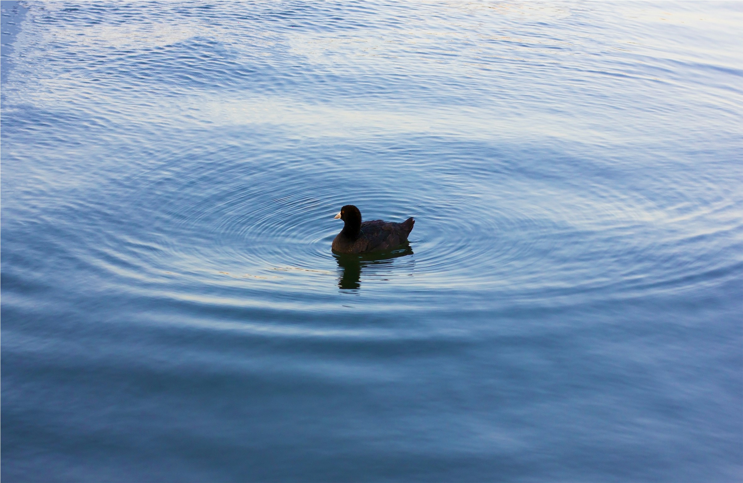 Free Unsplash photo from Rushi Mahant