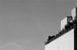 A minimalist garden design featuring clean lines and vibrant plants against a clear sky
