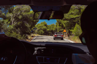 A group of drivers using their phones to report road hazards on a scenic highway surrounded by forest.