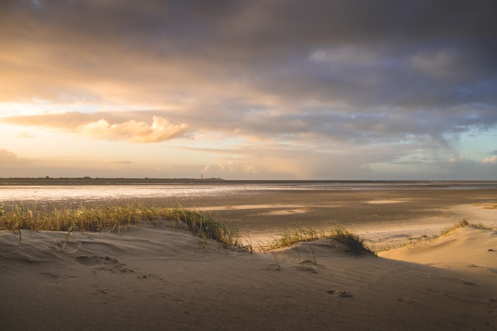 brown sand near body of water during daytime