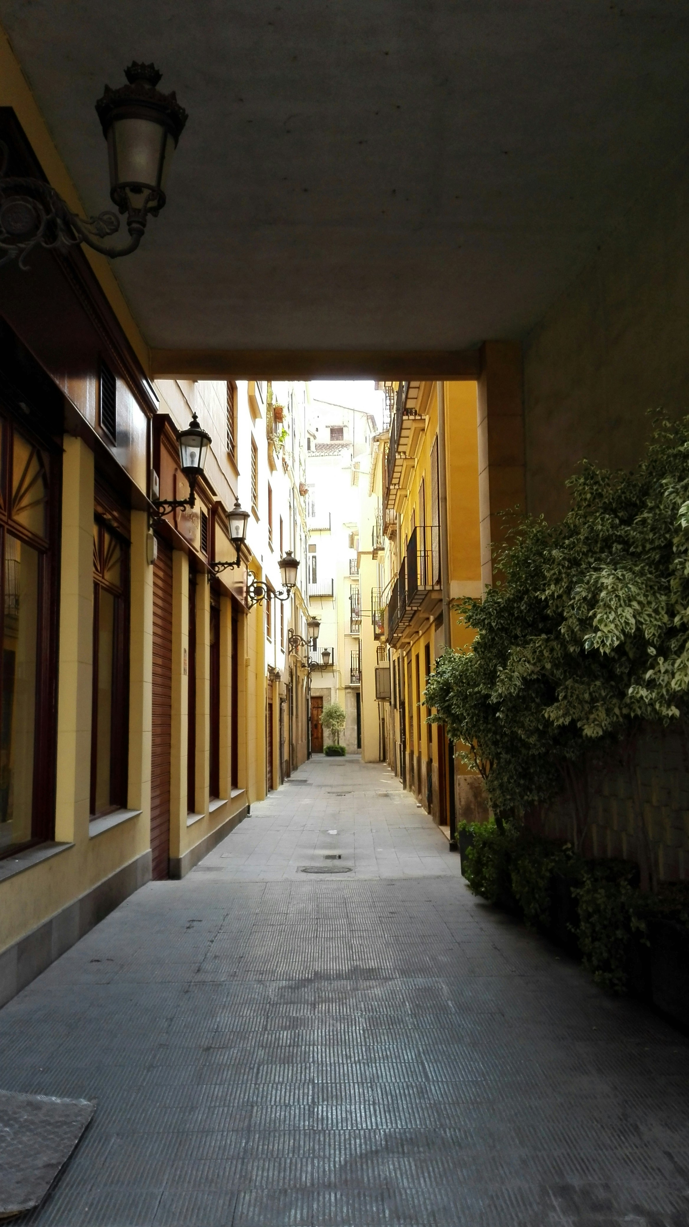 Free Unsplash photo from Camran Haghighi