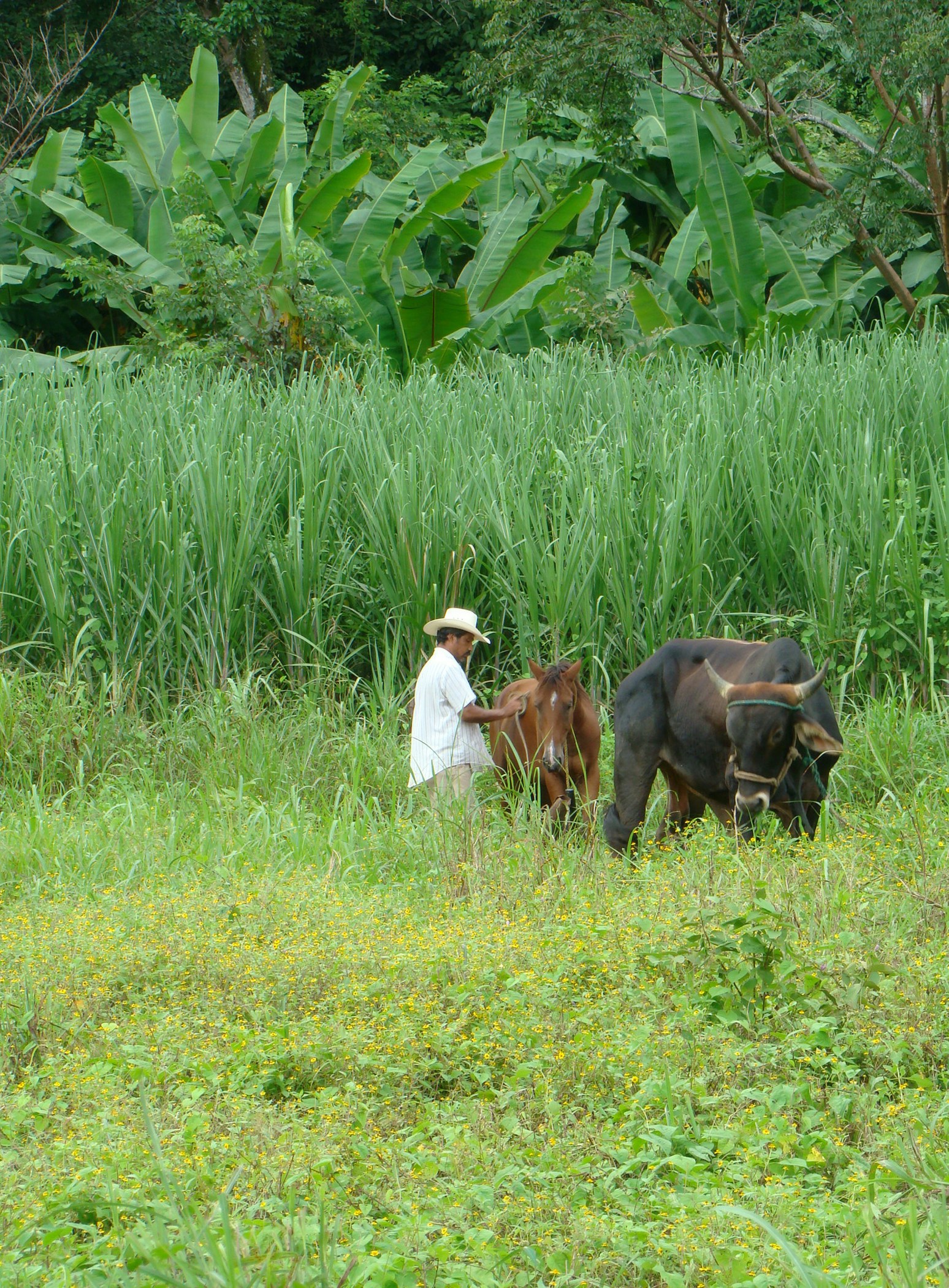 Free Unsplash photo from Ruth Esquivel