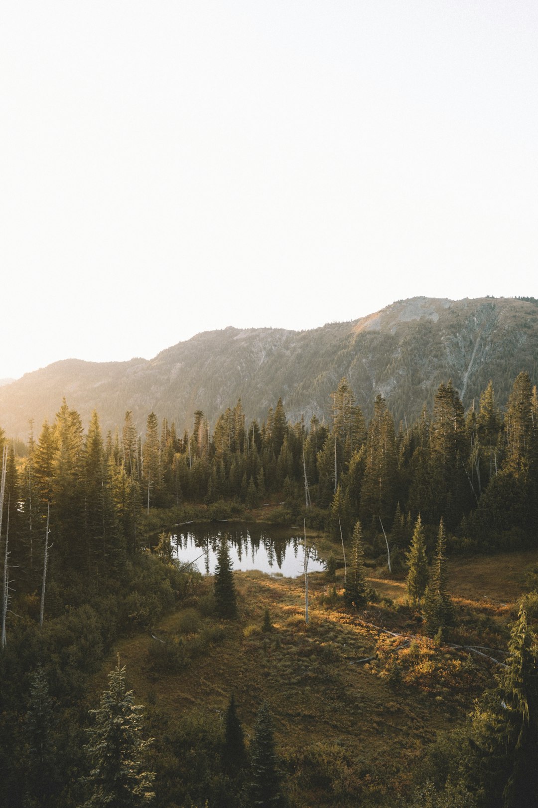 Highland photo spot Mount Rainier National Park Paradise