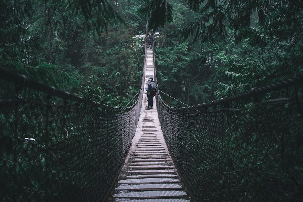 person on brown hanging bridge