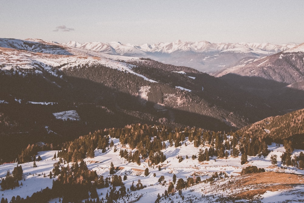 high-angle photography of trees on mountain