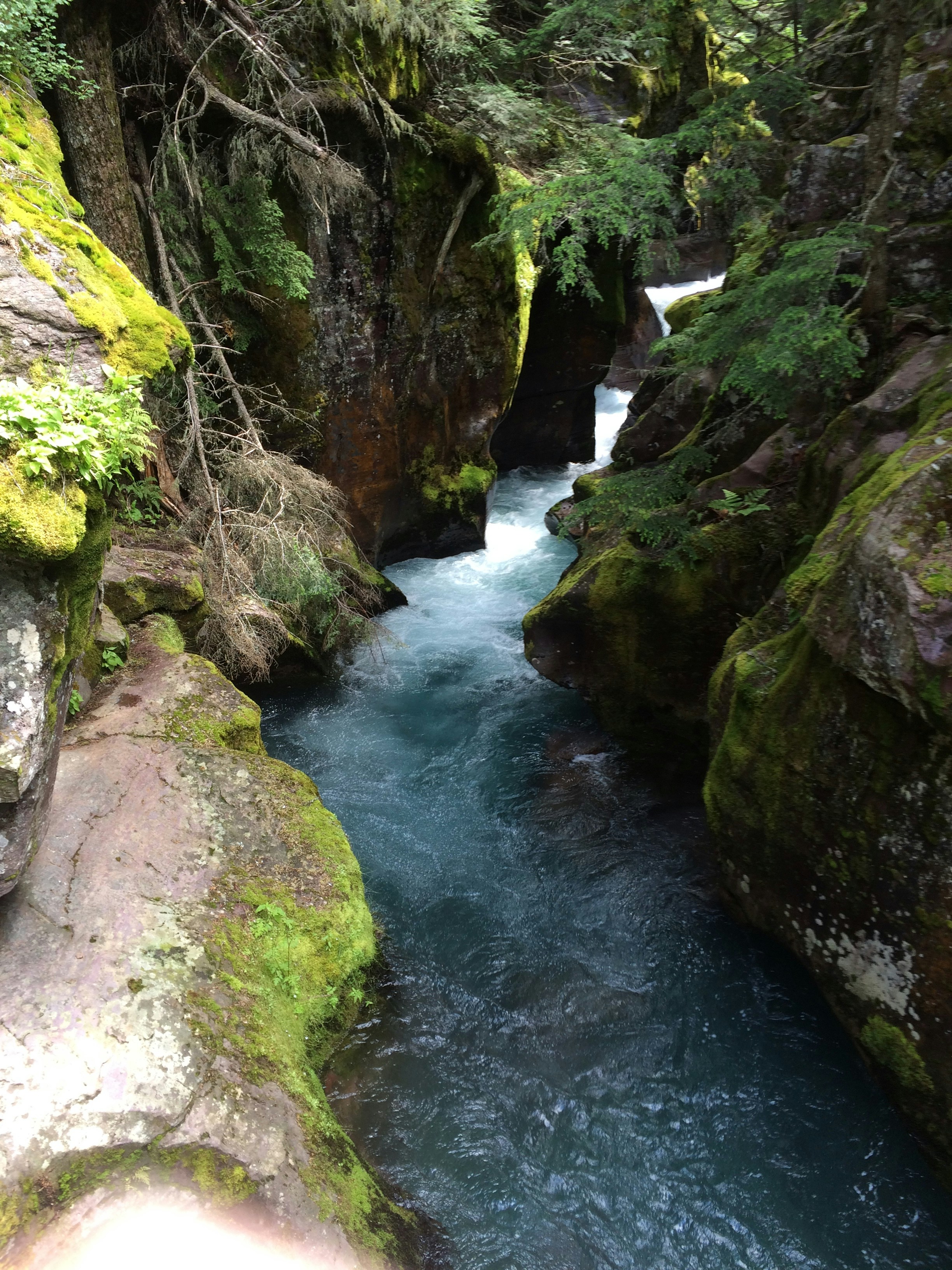 Free Unsplash photo from Julia Austin